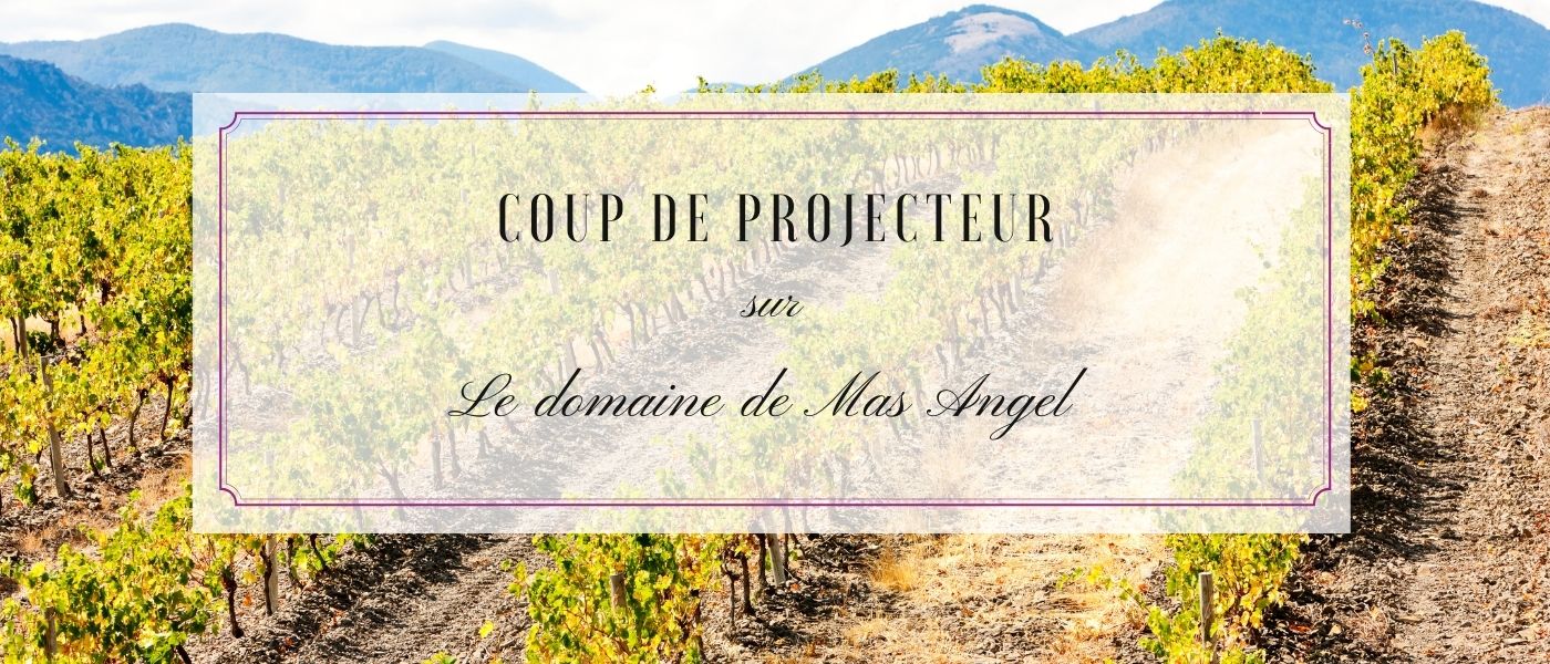 Nos Producteurs : Mas Angel