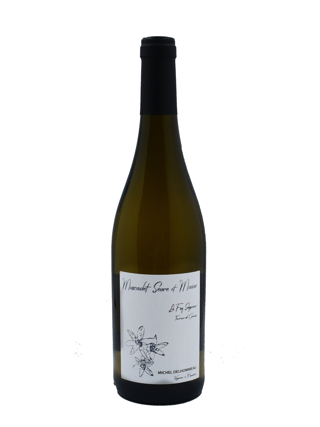 Muscadet Sèvre & Maine Le Fief Seigneur Domaine les vignes de Saint Vincent 2022 75cl