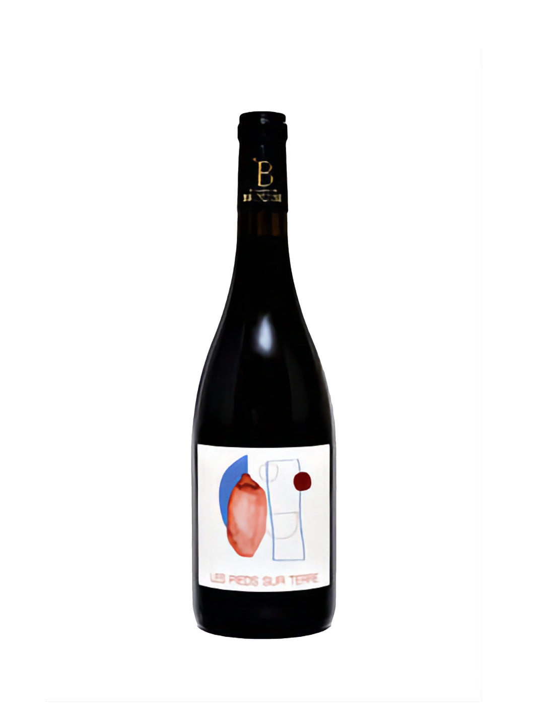 Gaillac Les pieds sur terre Domaine de Brousse 2022 75CL