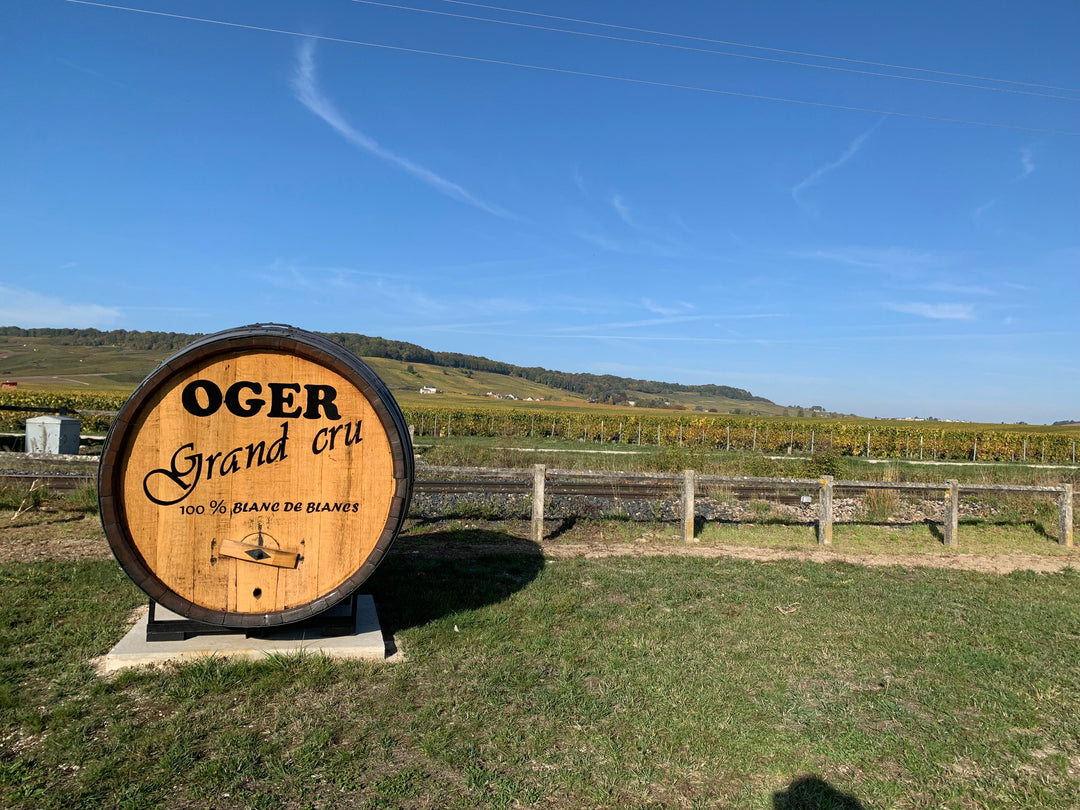 Nos Producteurs : Champagne de la Renaissance : l’élégance des bulles d’Oger