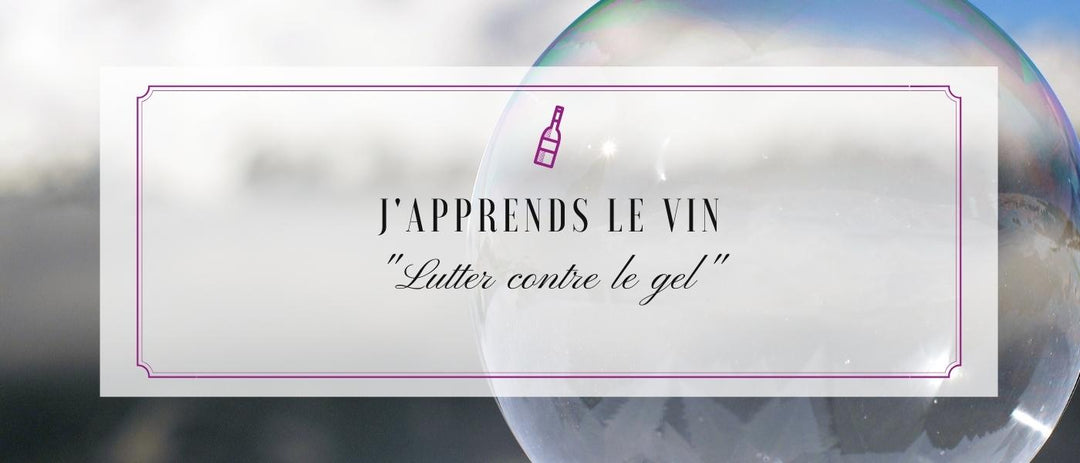 J'apprends le vin : Lutter contre le gel ❄️