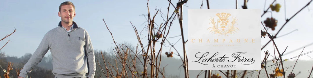 Nos producteurs : Les champagnes Laherte Frères