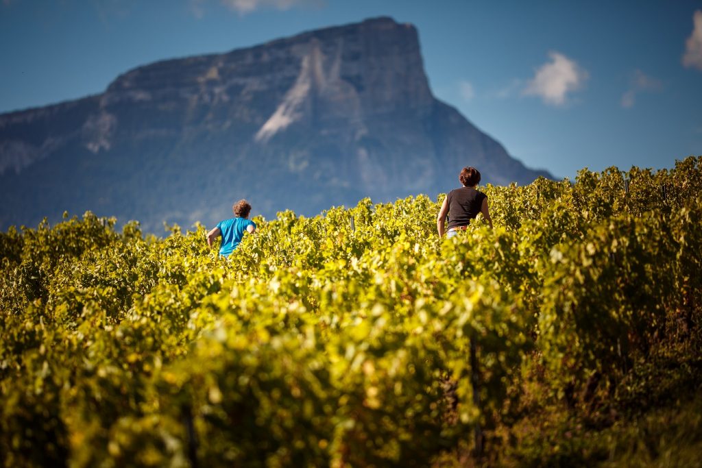 Domaine Ludovic Archer, des vins de Savoie hors du commun