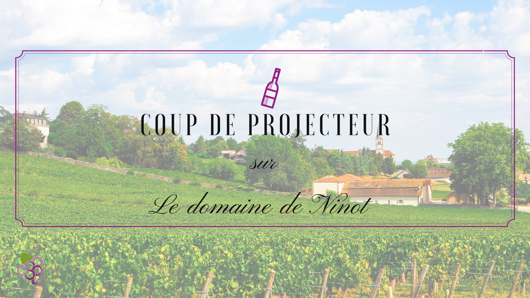Le Domaine de Ninot