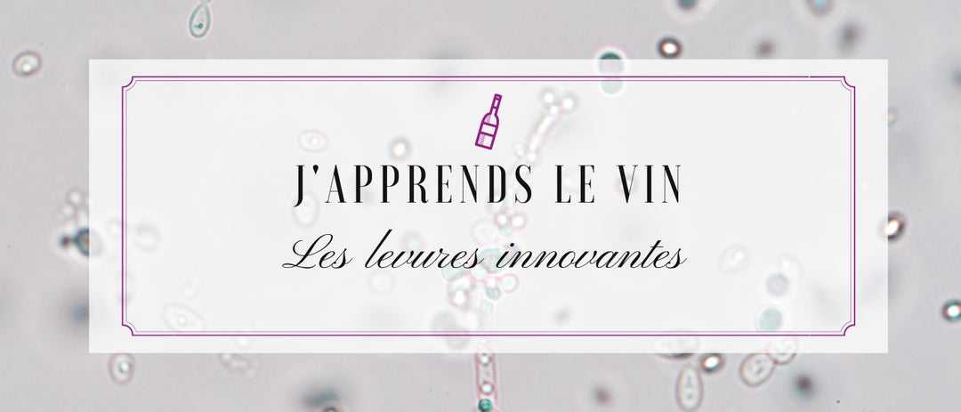 J'apprends le vin : Les levures innovantes