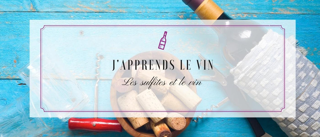 J'apprends le vin : Les sulfites et le vin🪶