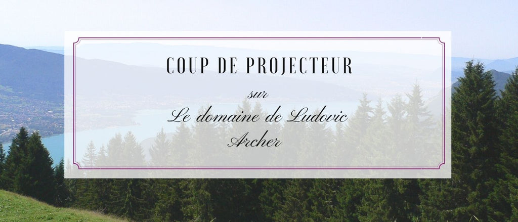 Domaine Ludovic Archer, des vins de Savoie hors du commun