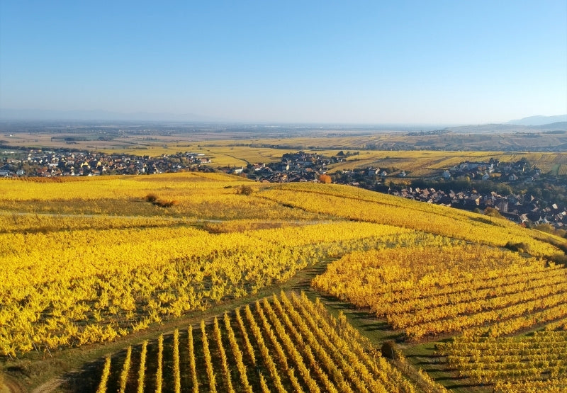 Alsace