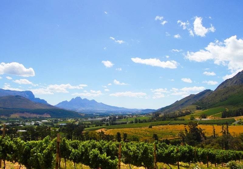 Afrique du Sud