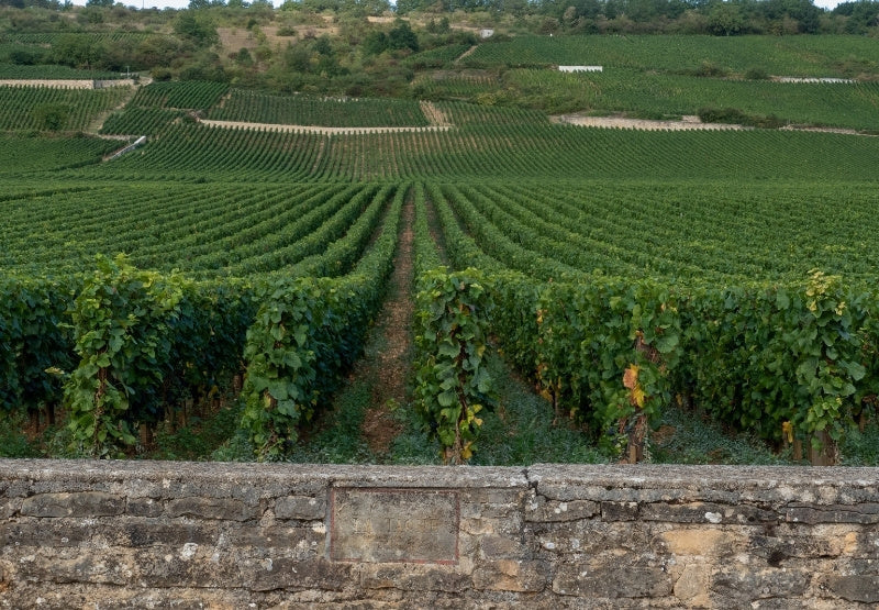 Bourgogne