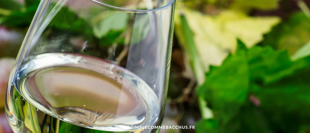 Les secs et minérals