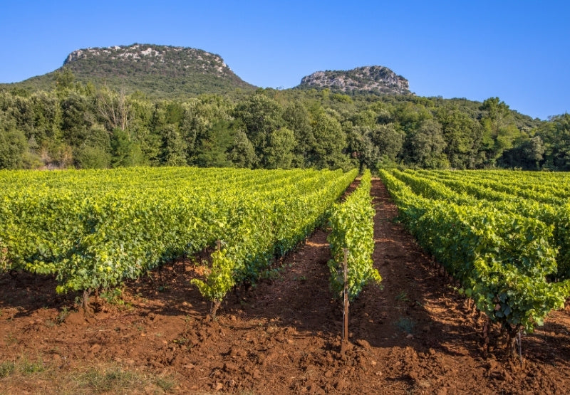 Languedoc-Roussillon