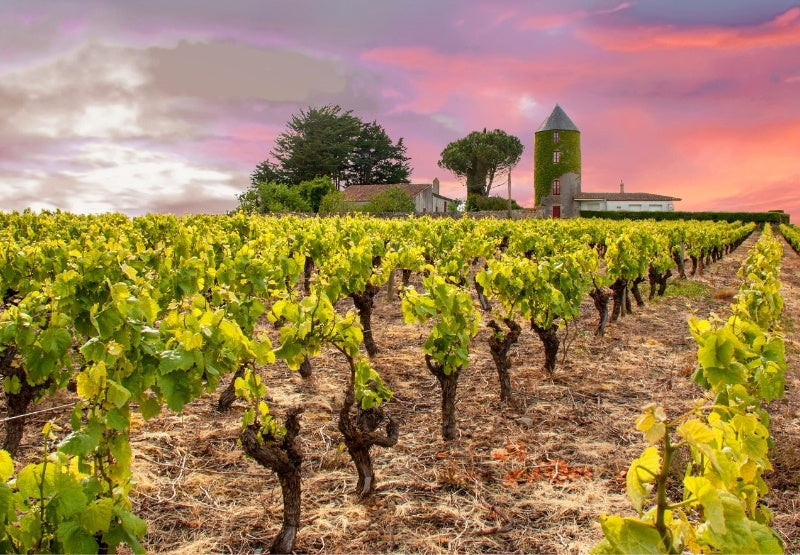 Loire