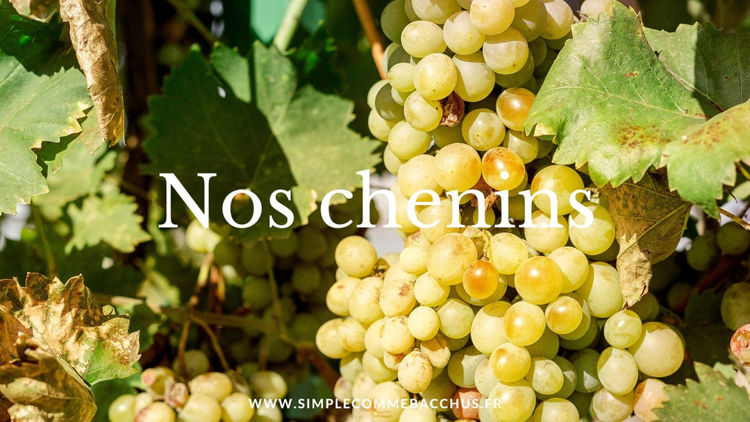 Le chenin : Cépage de la Vallée de la Loire