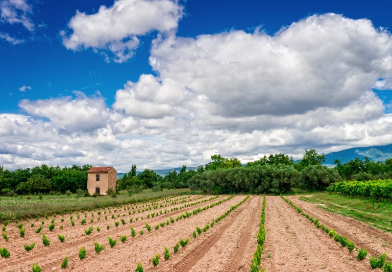 La Provence