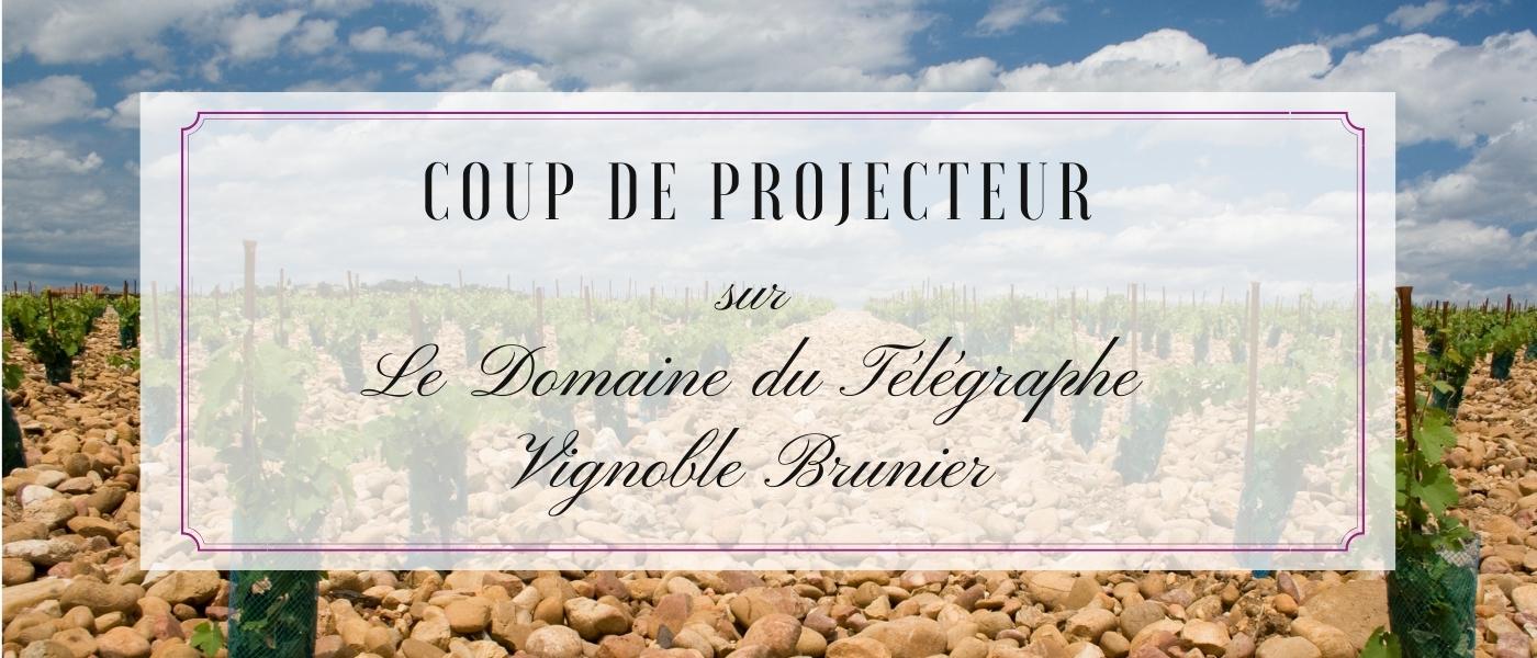 Nos producteurs : Domaine du Vieux Télégraphe