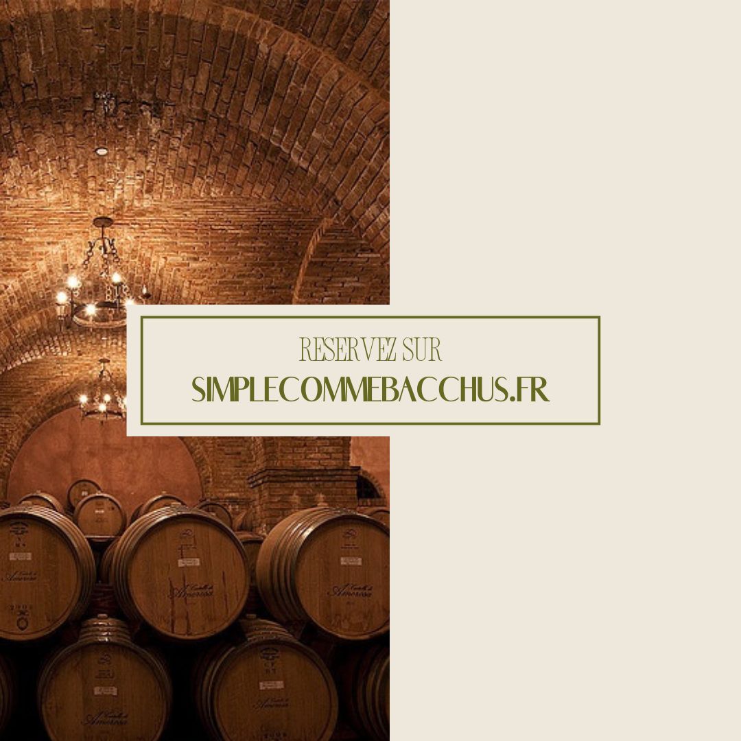 Atelier-découverte de 2h : les vins du monde à Maison Victoire