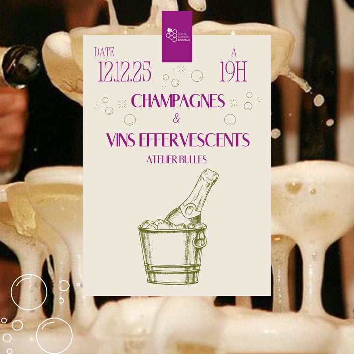 Atelier-découverte de 2h00 : La magie des bulles à Maison Victoire