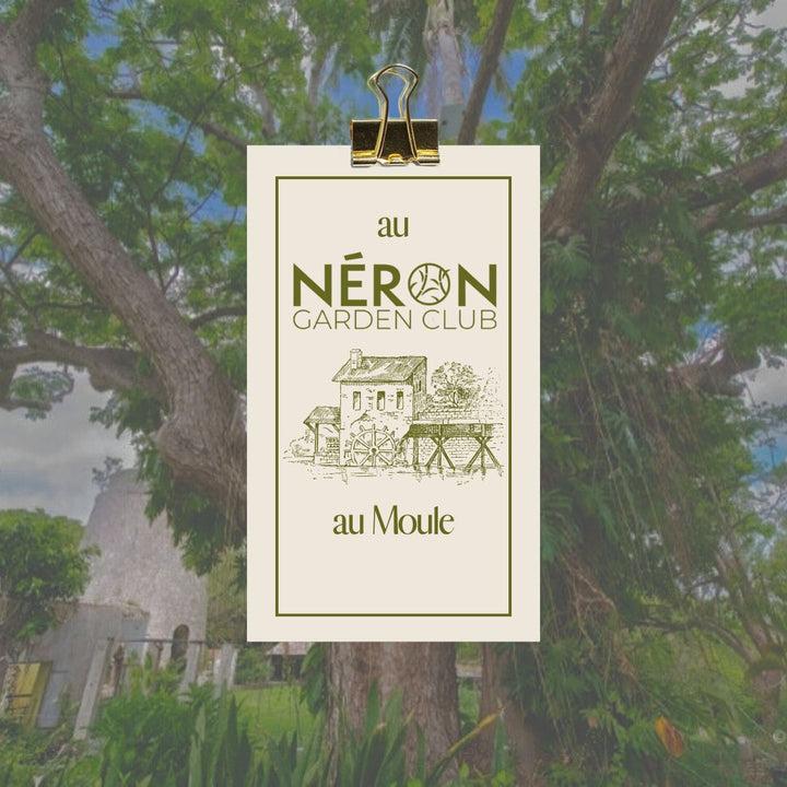 Session du Jeudi 18 décembre 2025 : Initiation à la dégustation du vin au Néron Garden Club