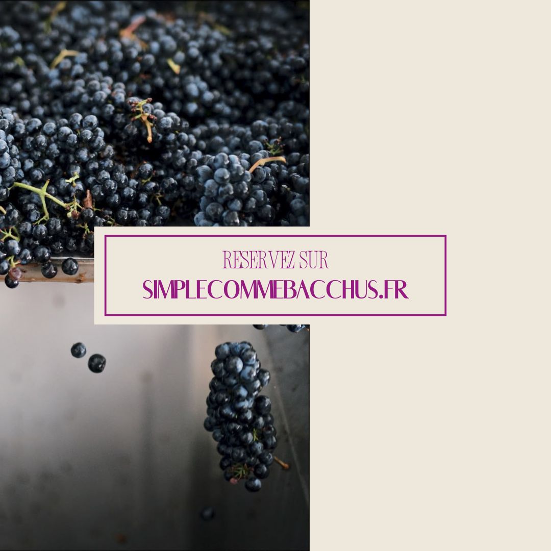 Session du Jeudi 18 décembre 2025 : Initiation à la dégustation du vin au Néron Garden Club