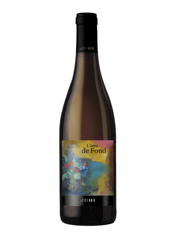 Anjou L'âme de fond Domaine Le Fief Noir 2021 75CL